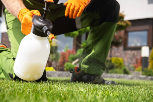 Best Seasonal Pest Control  in Edgewood, WA